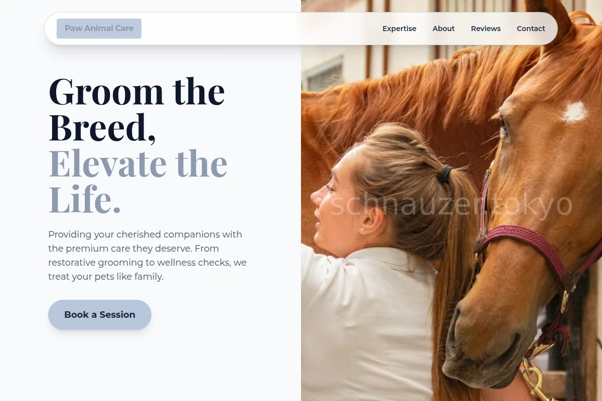 Paw Animal Care