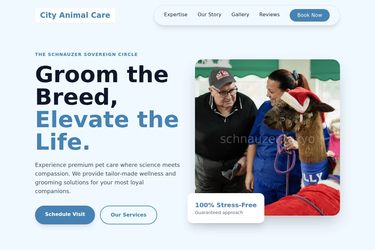 City Animal Care