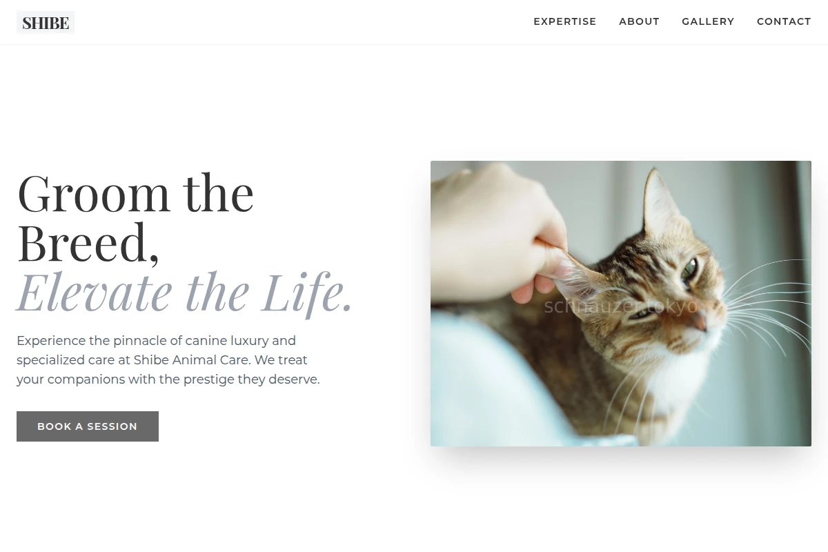 Shibe Animal Care
