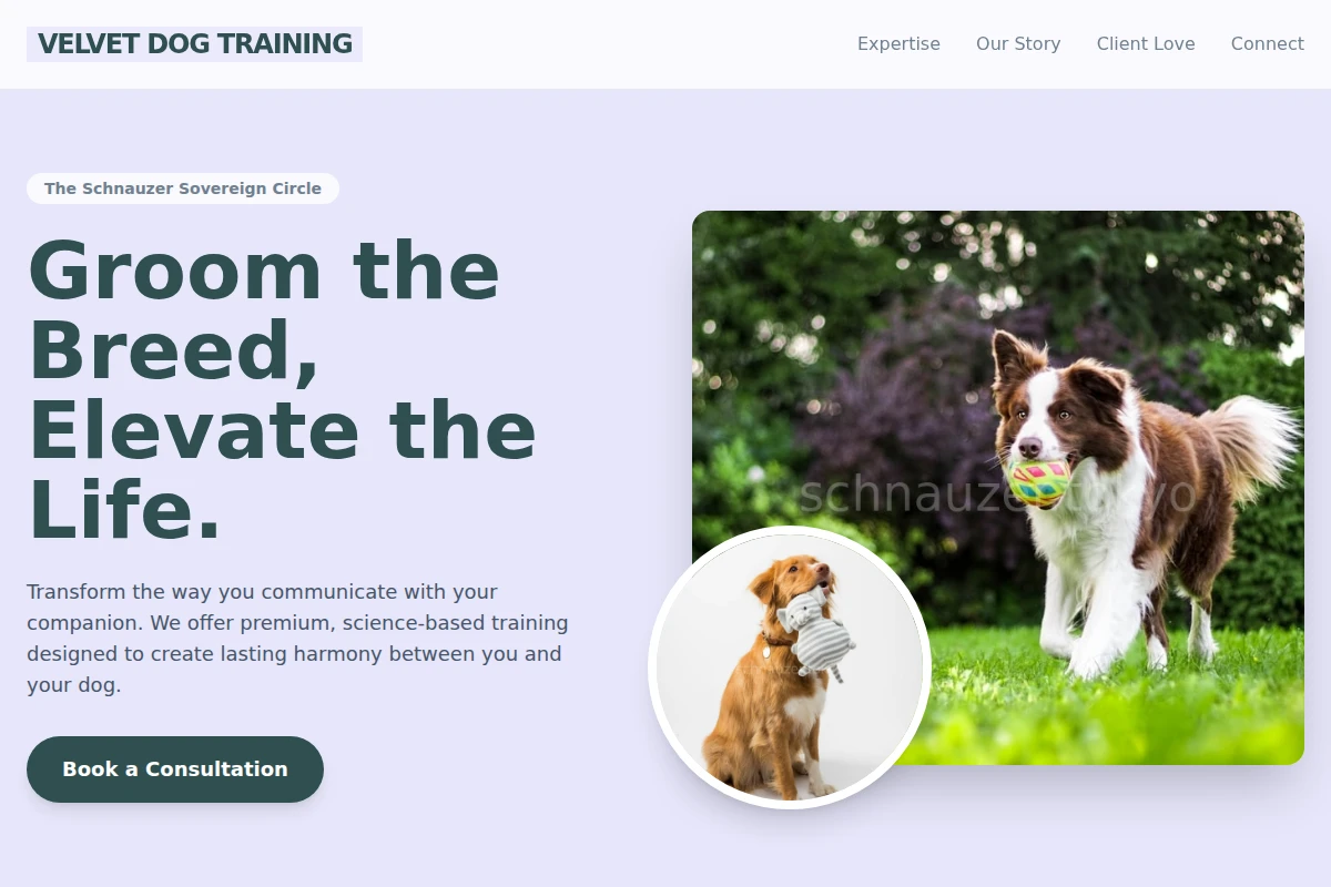Velvet Dog Training