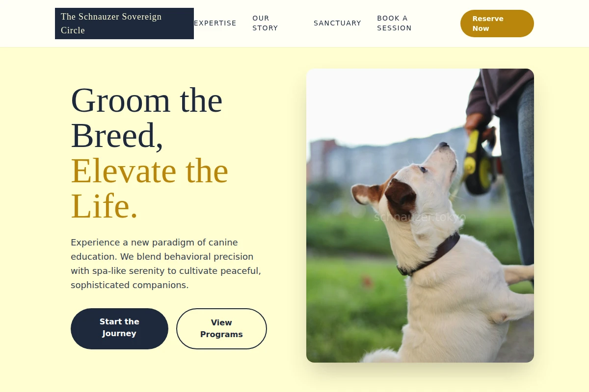 Spa Dog Training
