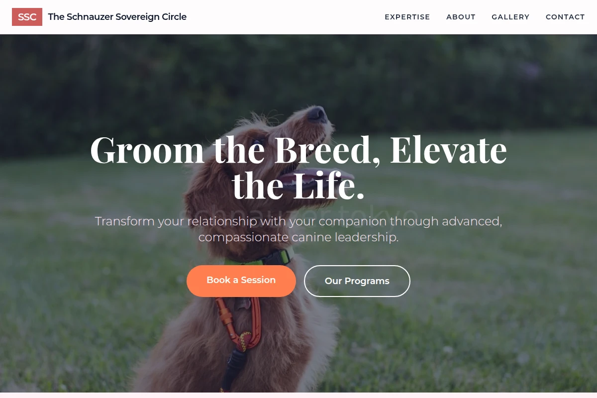 Training Dog Training
