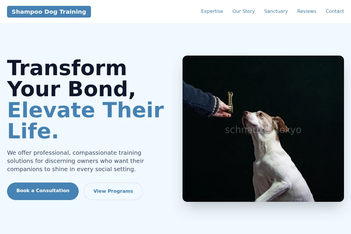 Shampoo Dog Training