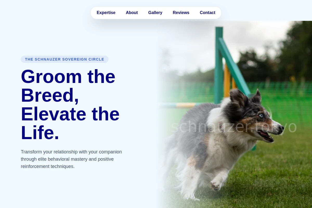 Walk Dog Training