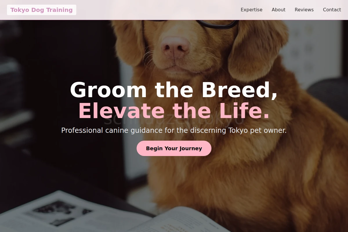 dog-training