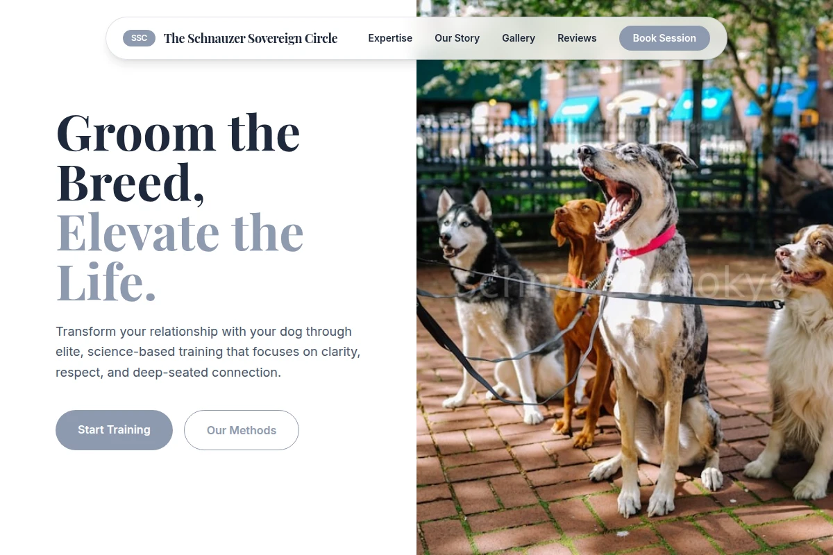 Collar Dog Training