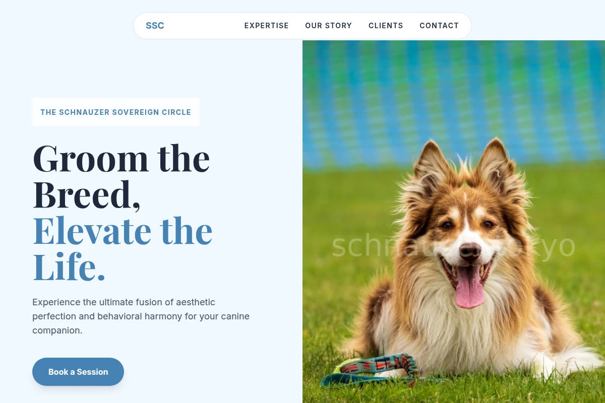 Grooming Dog Training