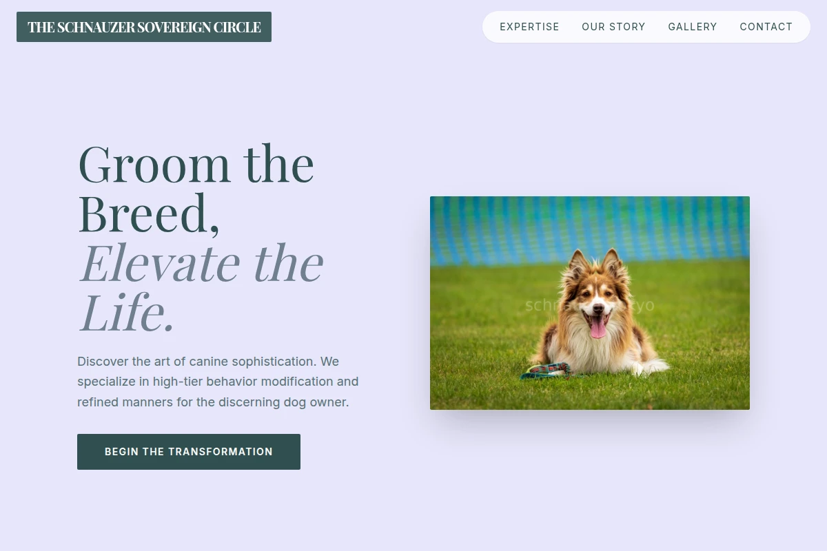 Walk Dog Training