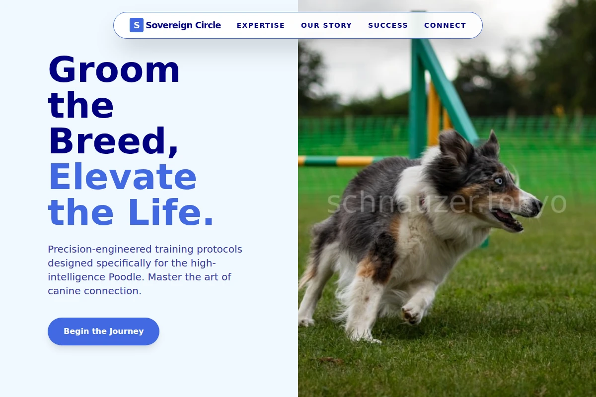 Poodle Dog Training
