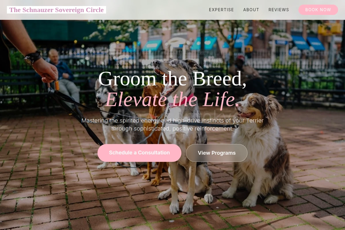 Terrier Dog Training