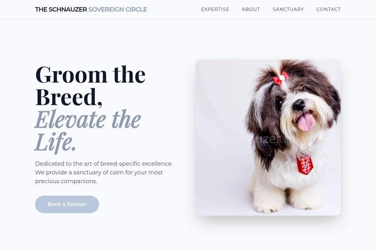 Schnauzer Pet Grooming