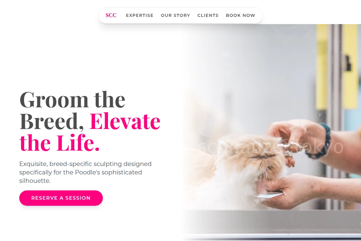 Poodle Pet Grooming