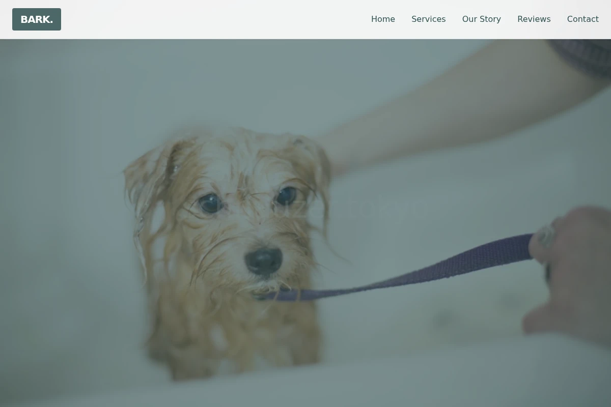 Bark Pet Grooming