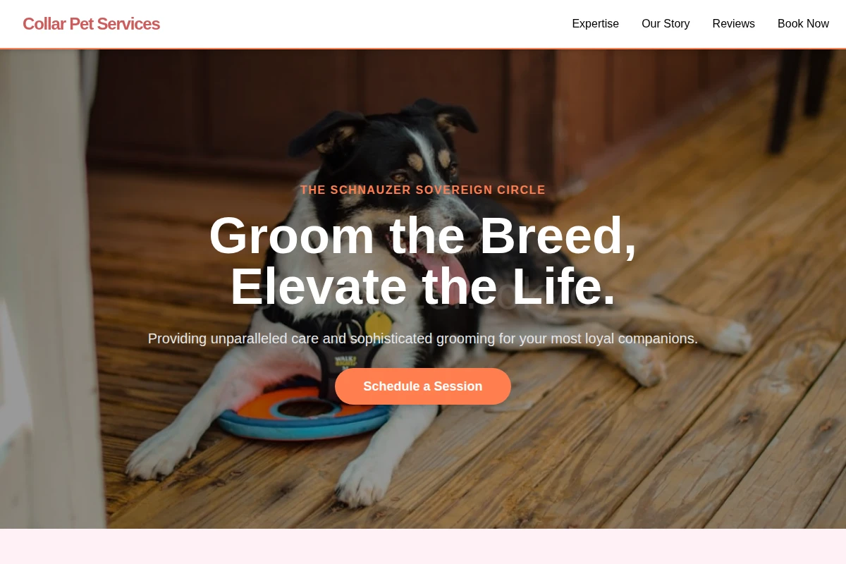 Collar Pet Services