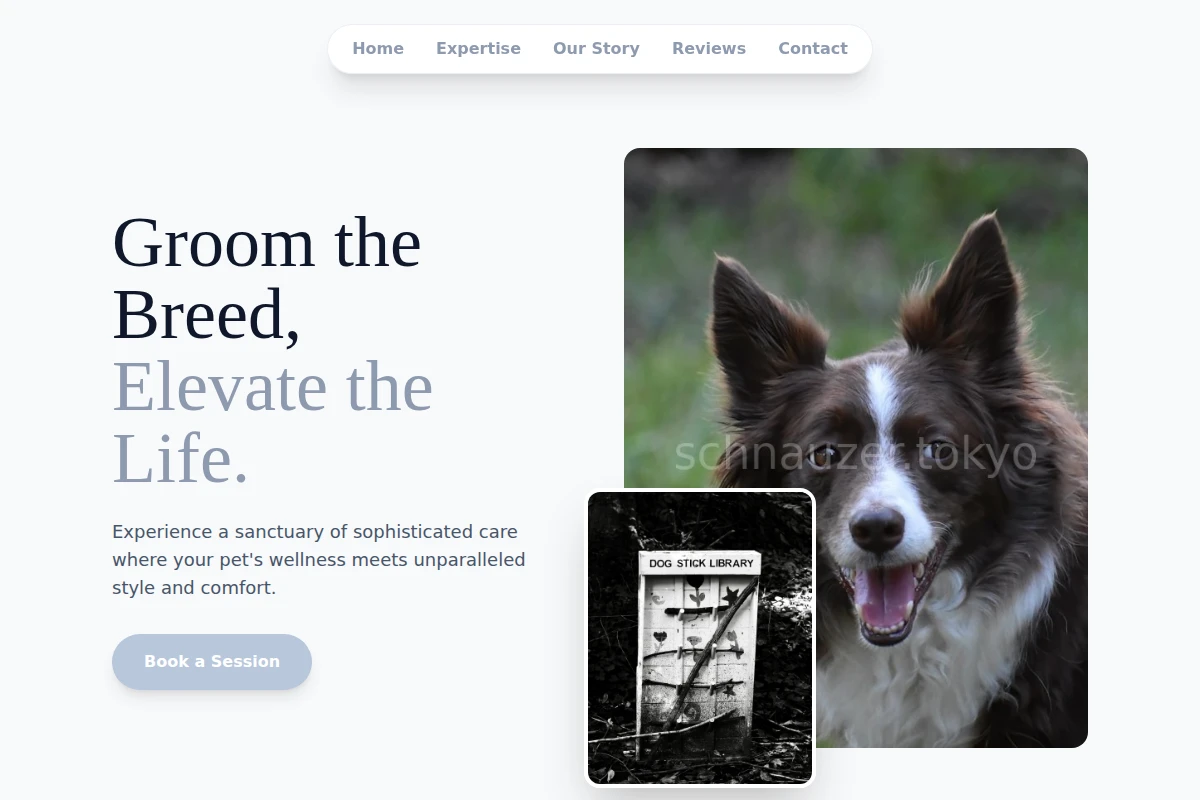 Groomed Pet Services