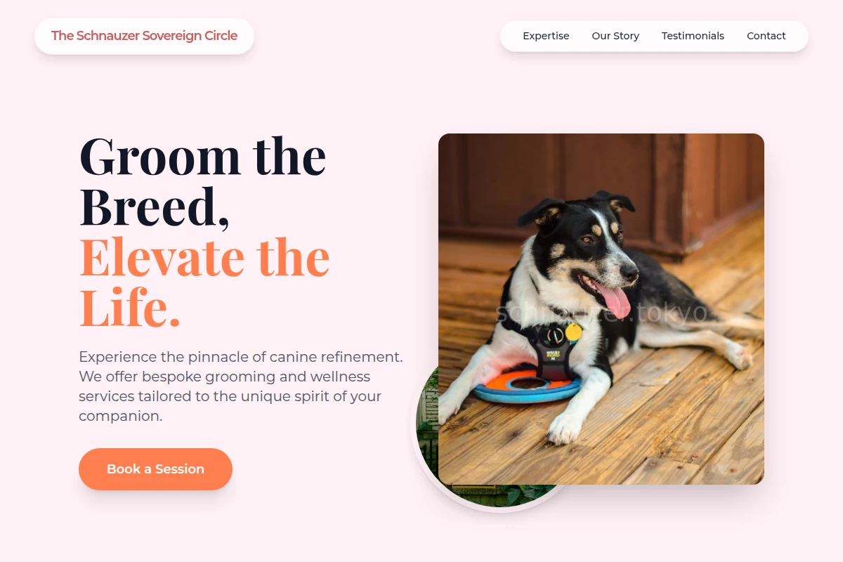 Canine Pet Services