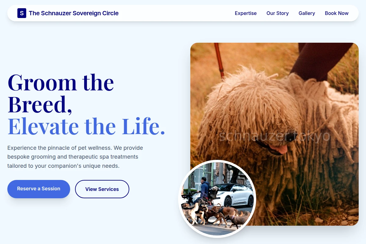 Grooming Pet Services