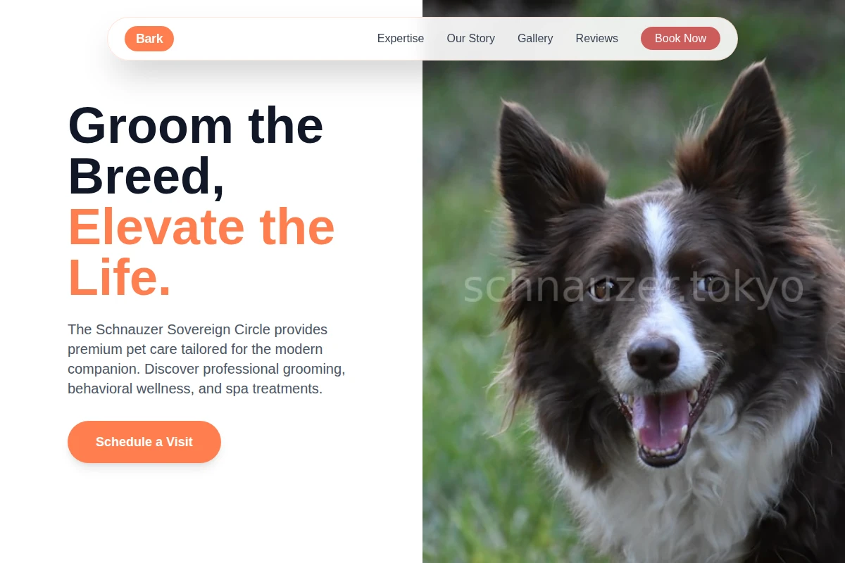 Bark Pet Services