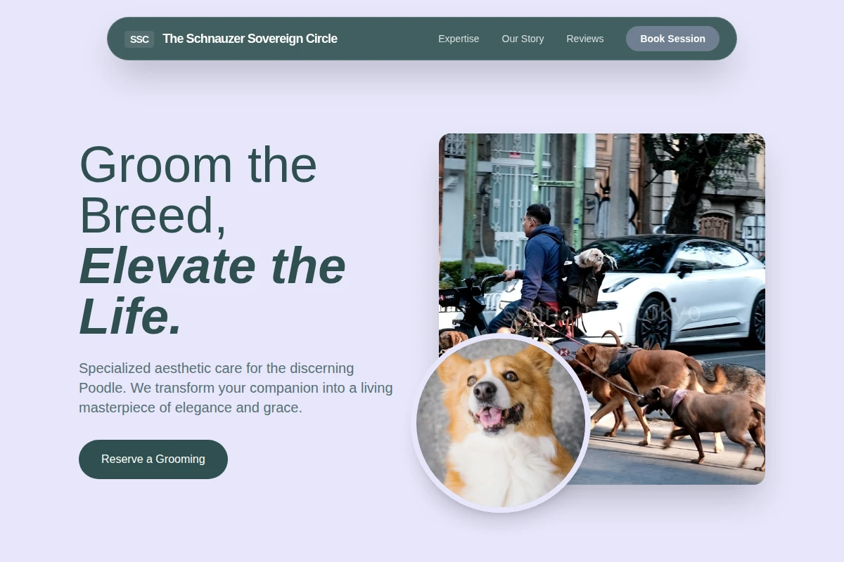 Poodle Pet Services