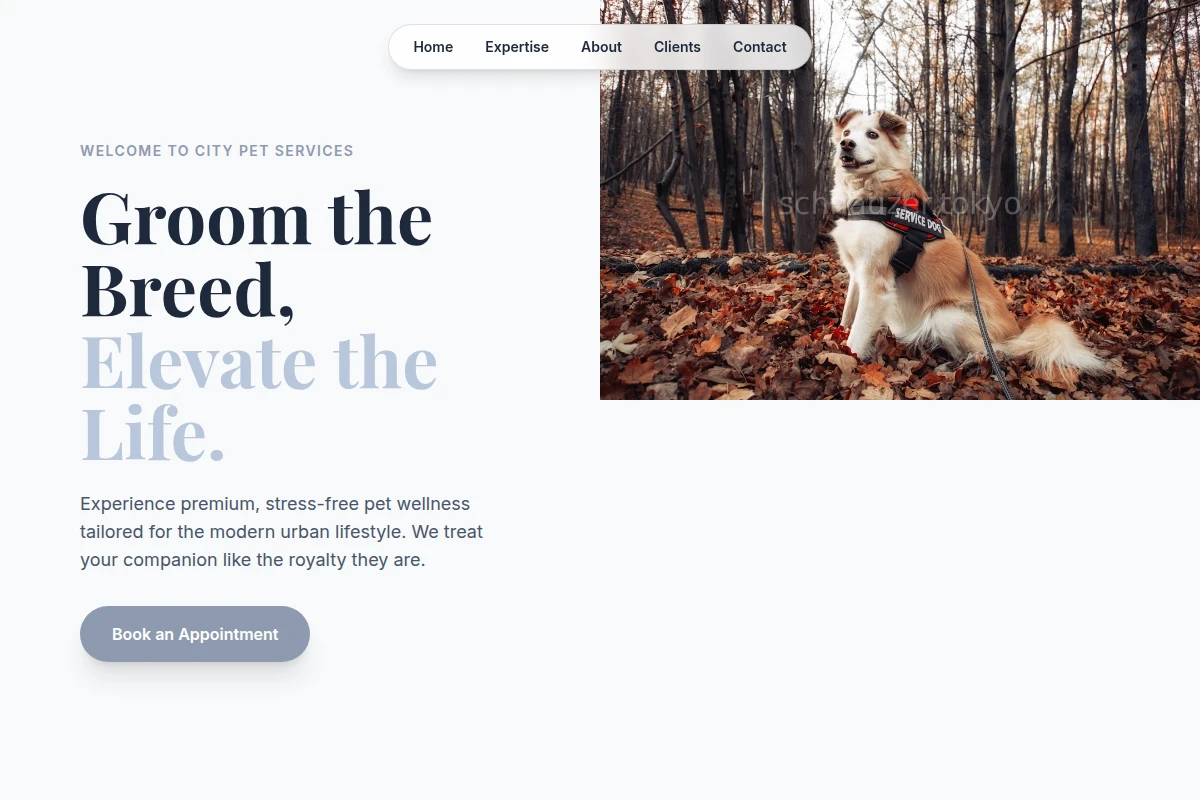 City Pet Services