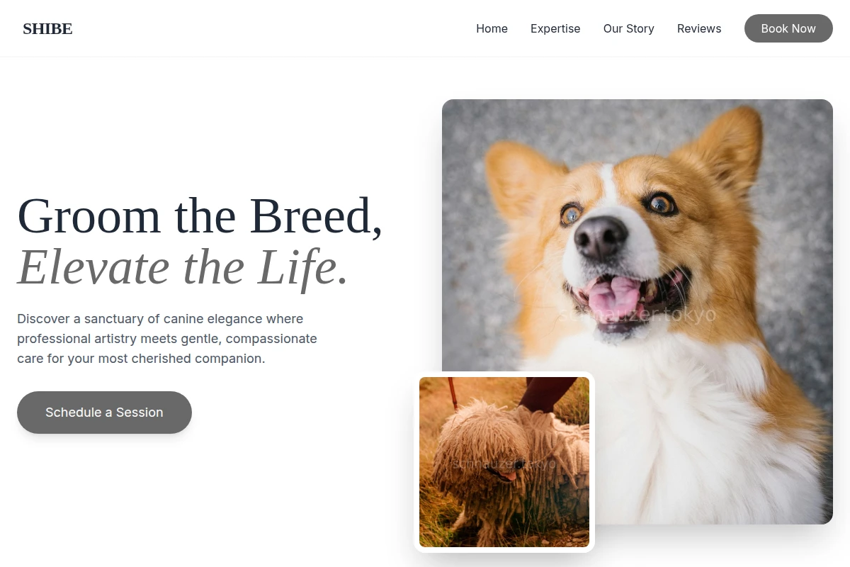 Shibe Pet Services