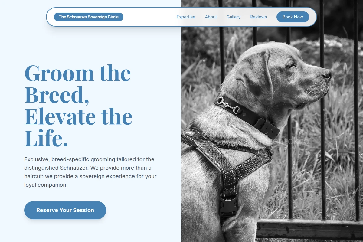 City Pet Services
