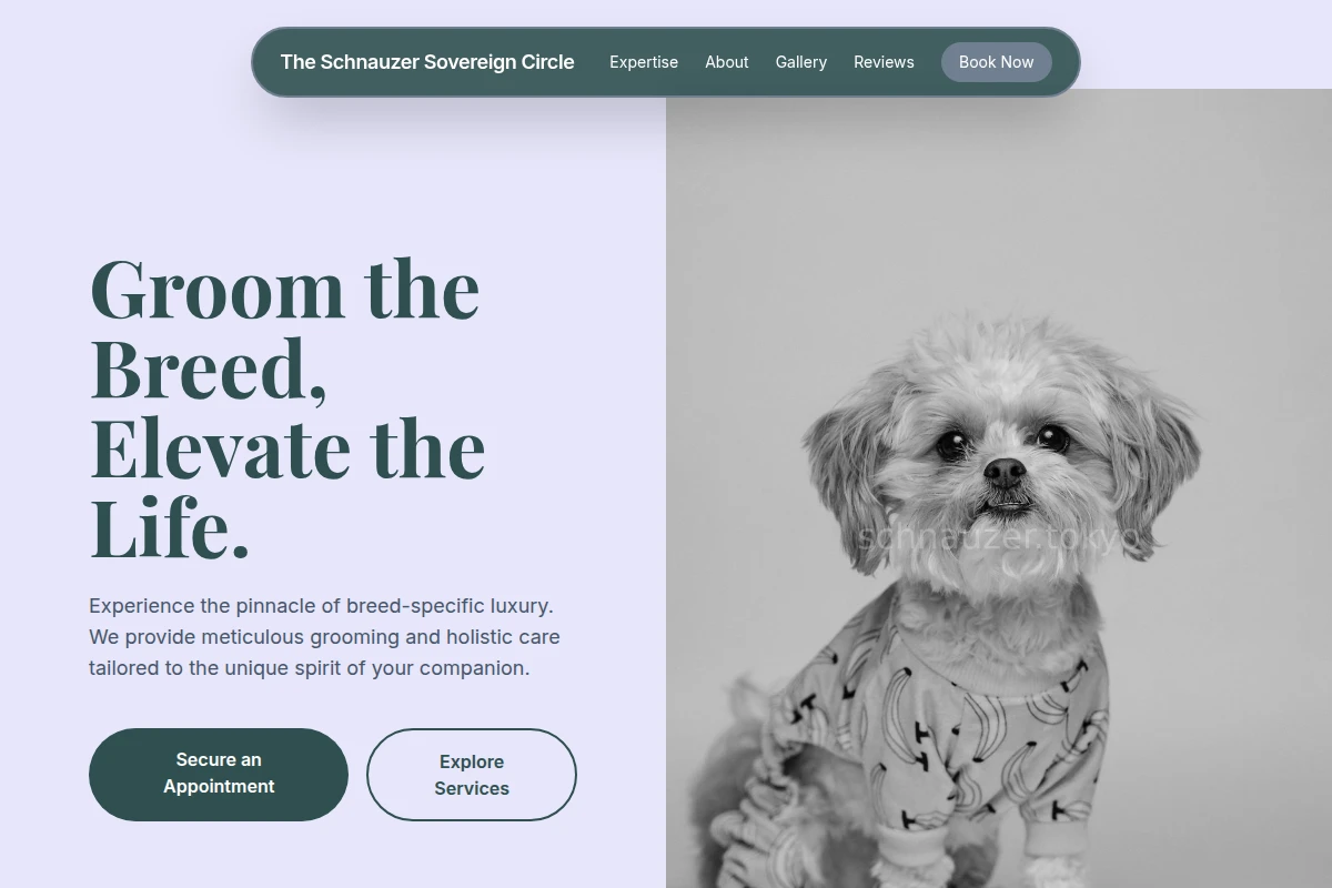Collar Pet Shop