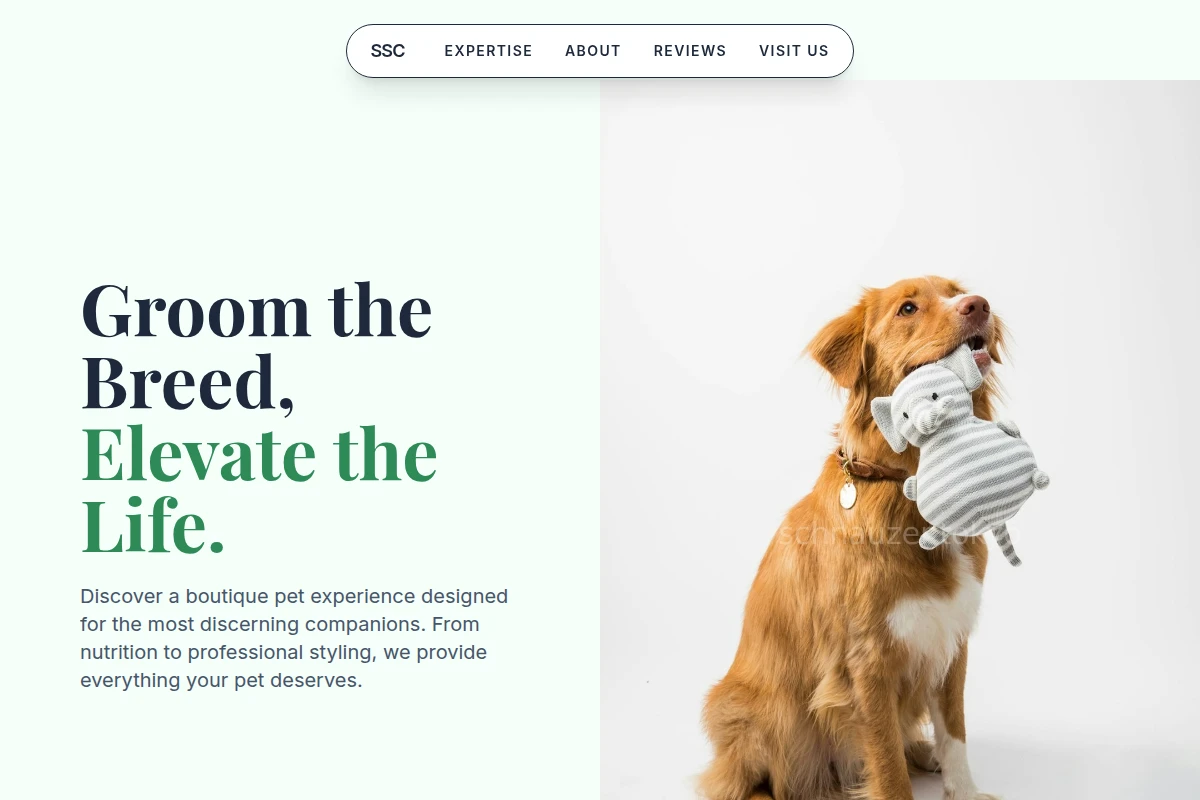 Loyalty Pet Shop