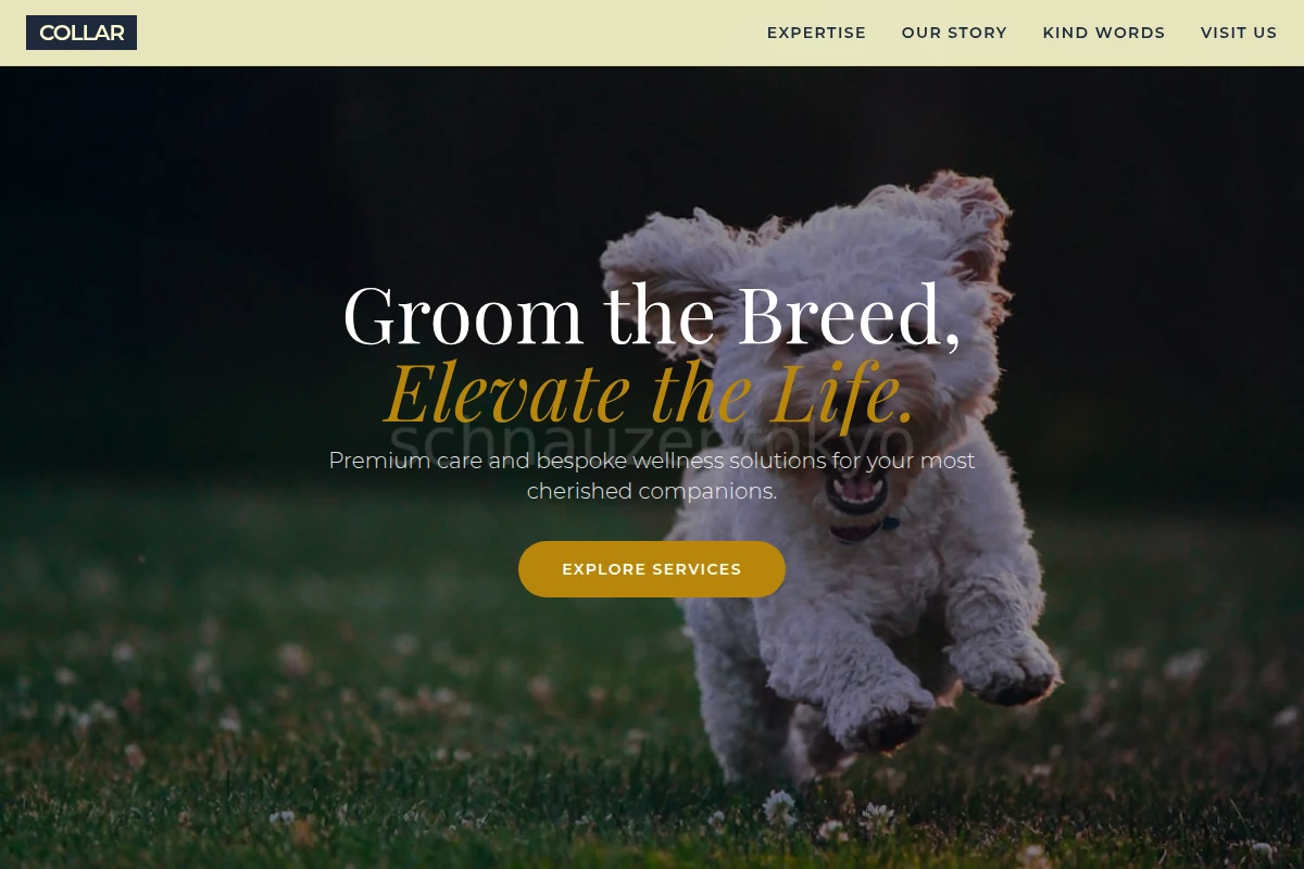 Collar Pet Shop