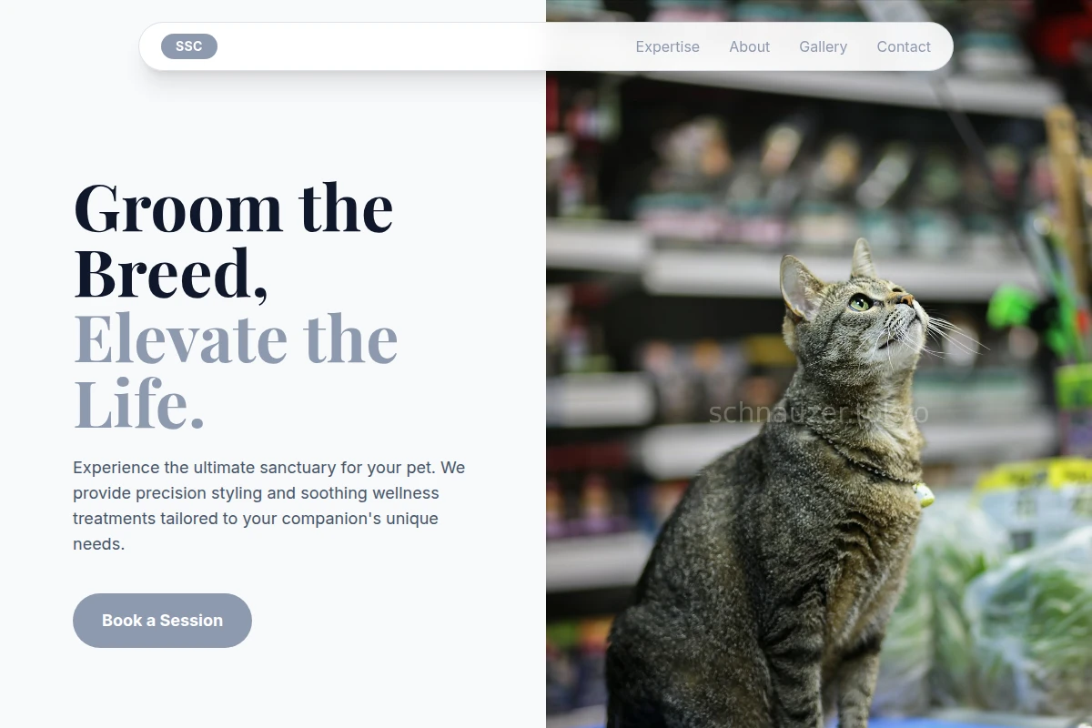 Grooming Pet Shop